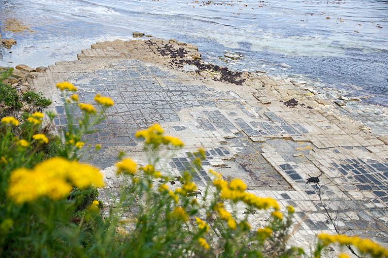 121227_1500_T00467_TesselatedPavement.jpg - Tessellated Pavement