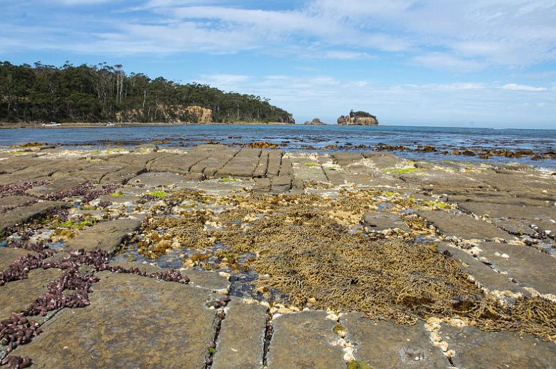 121227_1542_T00480_TesselatedPavement.jpg - Tessellated Pavement