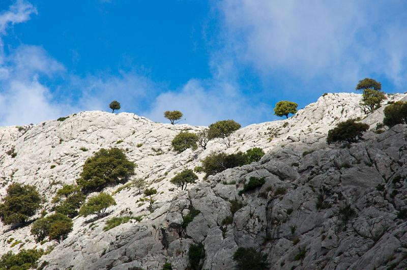 140526_1028_T01333_Cuber_Soller_hd.jpg - Lac de Cuber