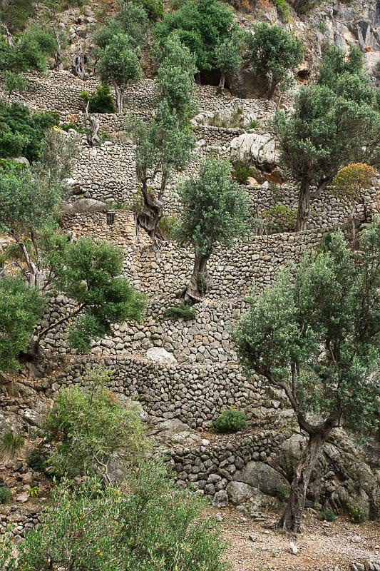 140526_1429_T01421_Cuber_Soller_hd.jpg - Schlucht von Biniaraix