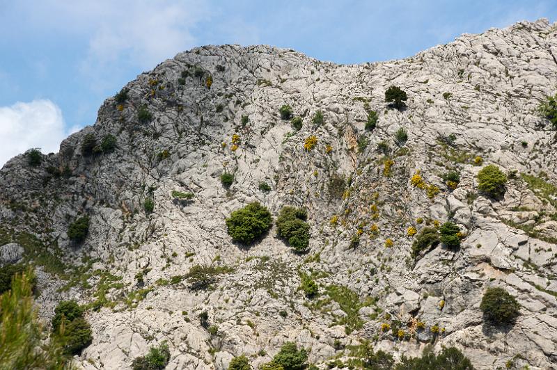140528_1120_T01668_Cuber_Lluc_hd.jpg - GR221 Cuber - Lluc